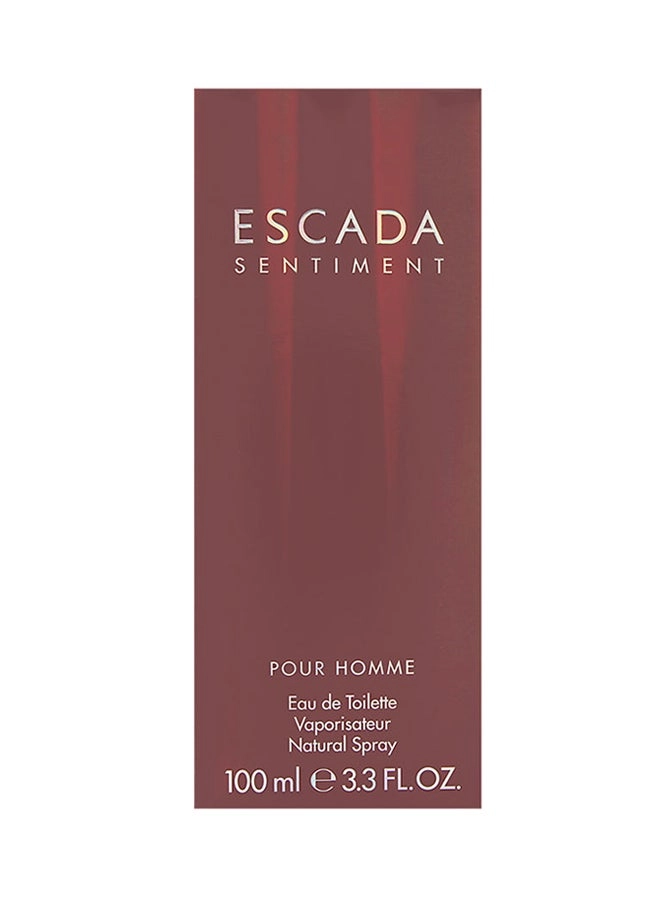 Sentiment Eau de Toilette 100ml