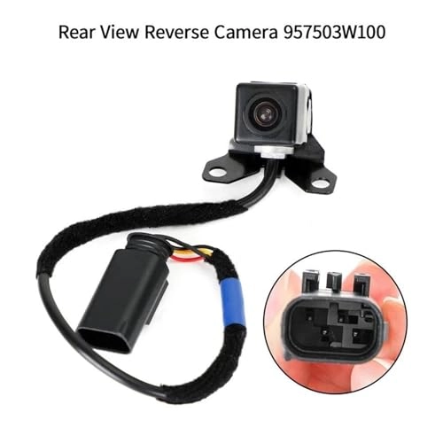 Rear View Back-Up Camera Assembly - Night Vision