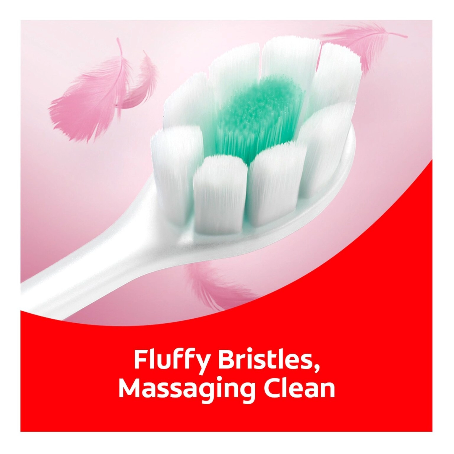Foamsoft - Super Dense Thin Bristle 2-Piece Pack