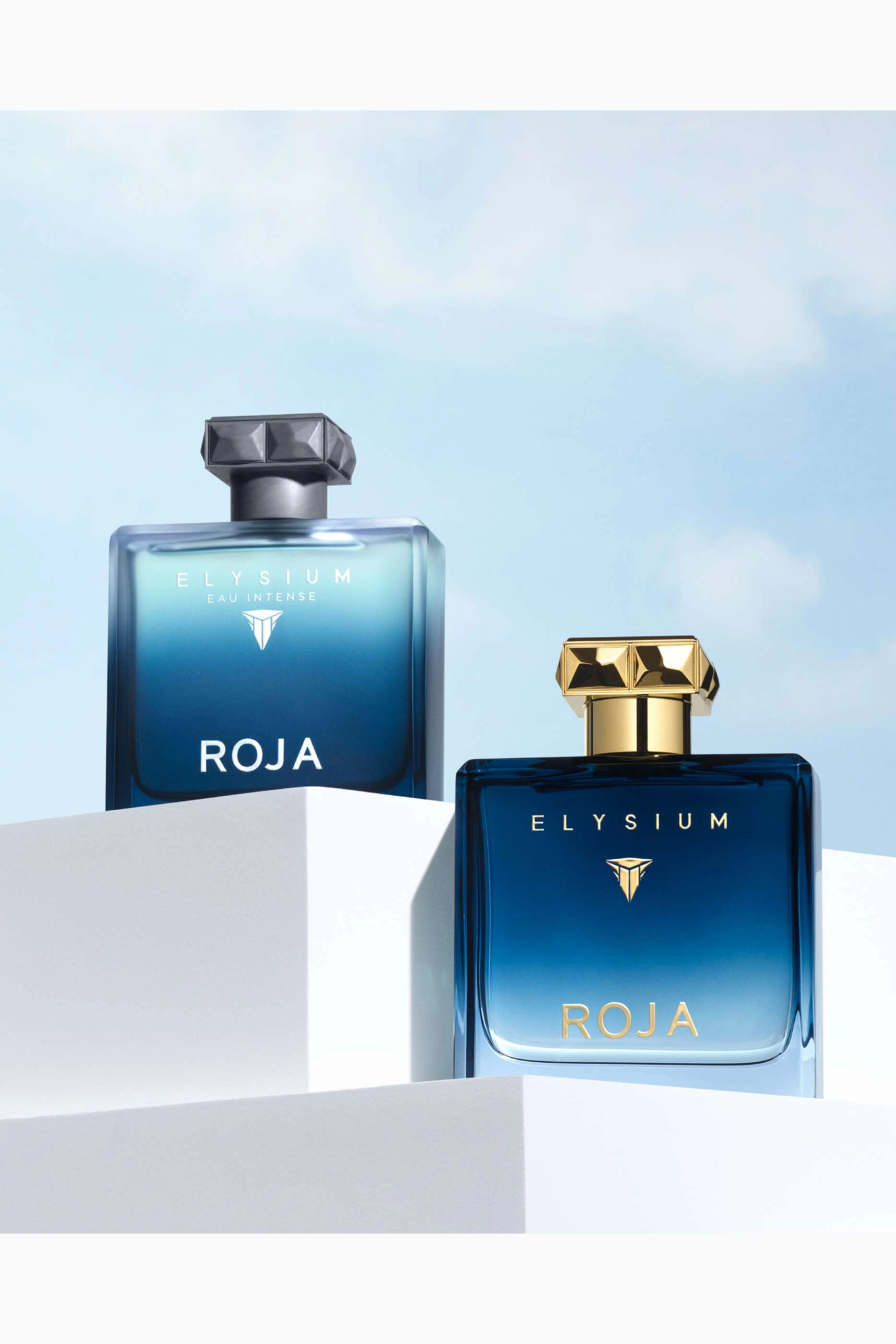 Elysium Eau Intense Eau de Parfum 100ml