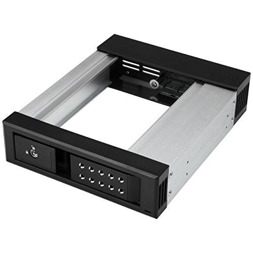 5.25" to 3.5" Trayless Hard Drive Hot Swap Bay - 1