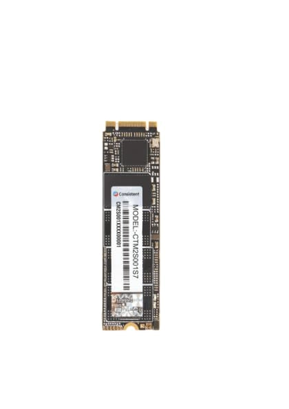 Consistent SSD - 256GB M.2 SATA 2280