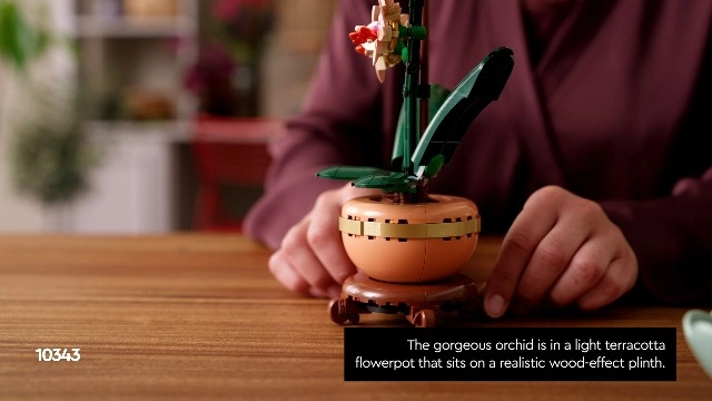 Botanicals Mini Orchid (10343) - Artificial Flowers Terracotta Pot