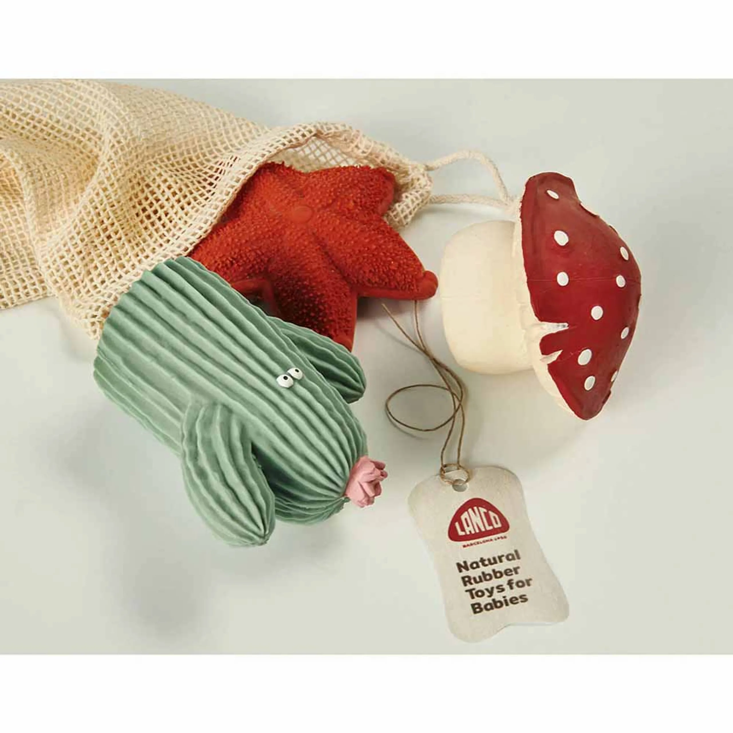 Sea & Seed Teether - pure natural rubber Gift Set