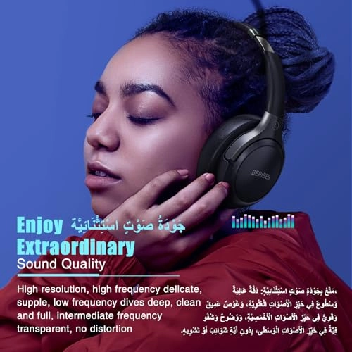 WH202A Wireless Headphone