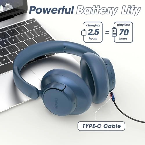 WH305B Wireless Headphone