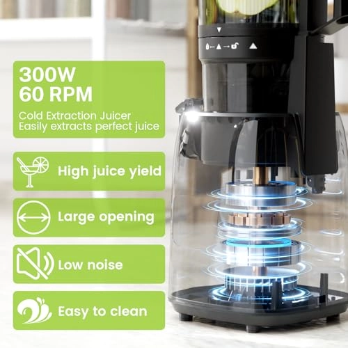 Cold Press Juicer - 300 watts