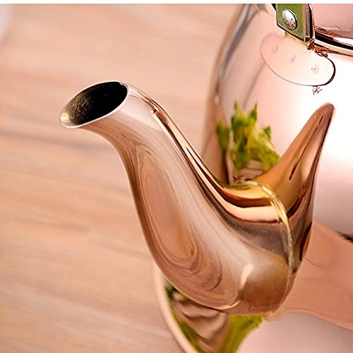 Stovetop Induction Whistling Kettle - 5L