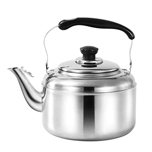 Stovetop Induction Whistling Kettle - 5L