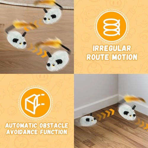 Magic Mouse Cat