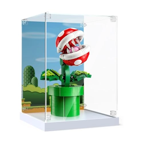 Acrylic Display Case