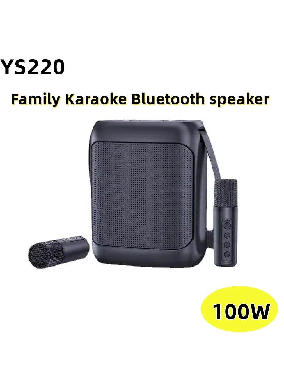 220 Outdoor Karaoke Speaker