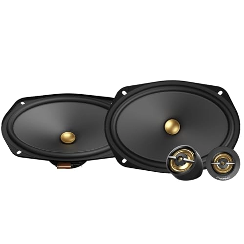 Pioneer TS-A6901C - 6â€ x 9â€ 2-Way
