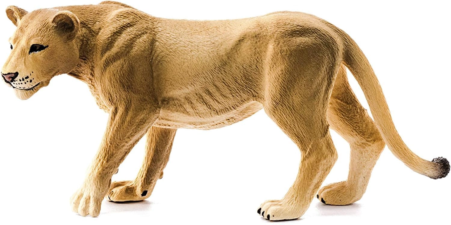 Lioness - 3 years and up Animal 1