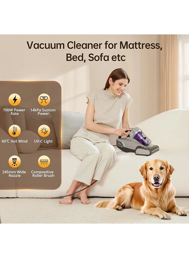 JV35 - 700 W 14 kPa 500 ml