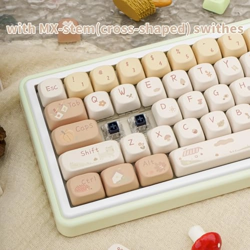 MOA Profile Keycap Set - ANSIlayouts USB-C