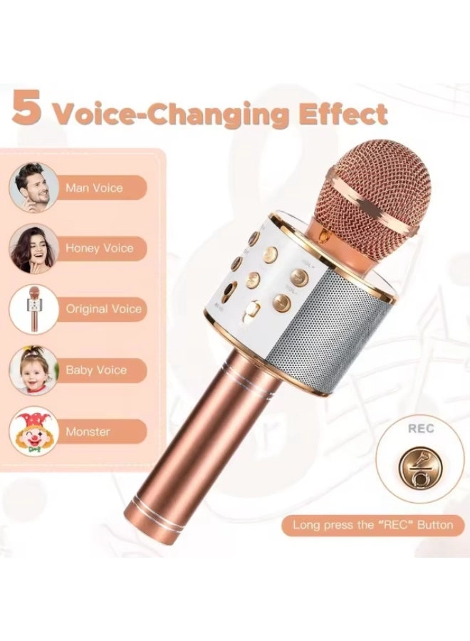 Wireless Bluetooth Karaoke Microphone