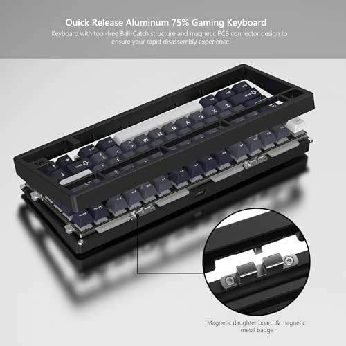 RD75 Pro - Wireless