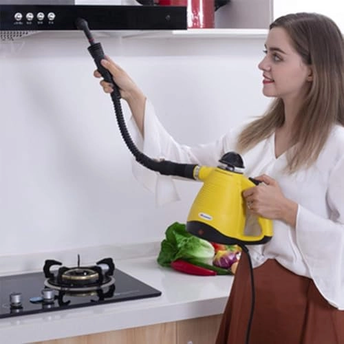 Portable Steam Cleaner - 350 Milliliters