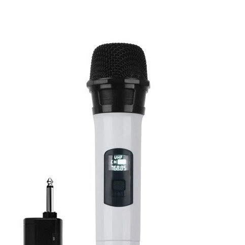 Microphone