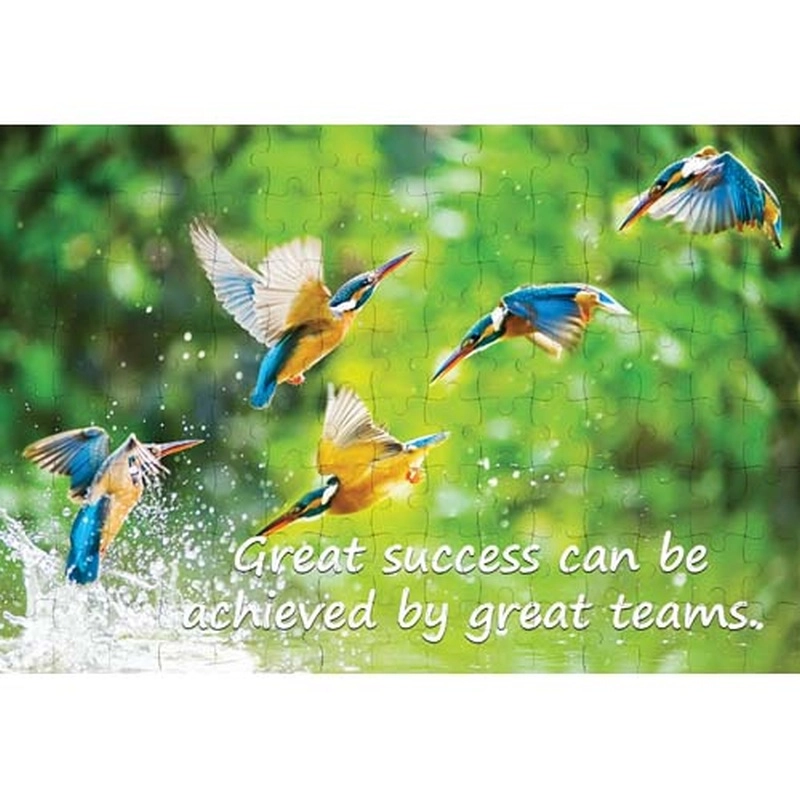 Ajooba Dubai Teamwork Puzzle (1013)