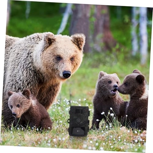 Game & Trail Cameras - Motion Activated HD Color Screen