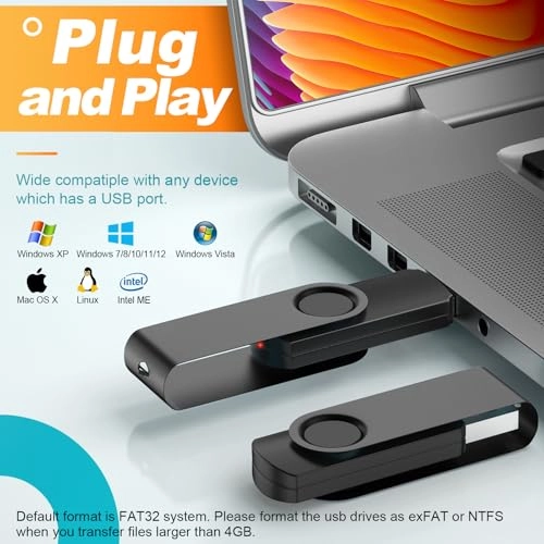 Bulk Flash Drive - USB 2.0 2GB