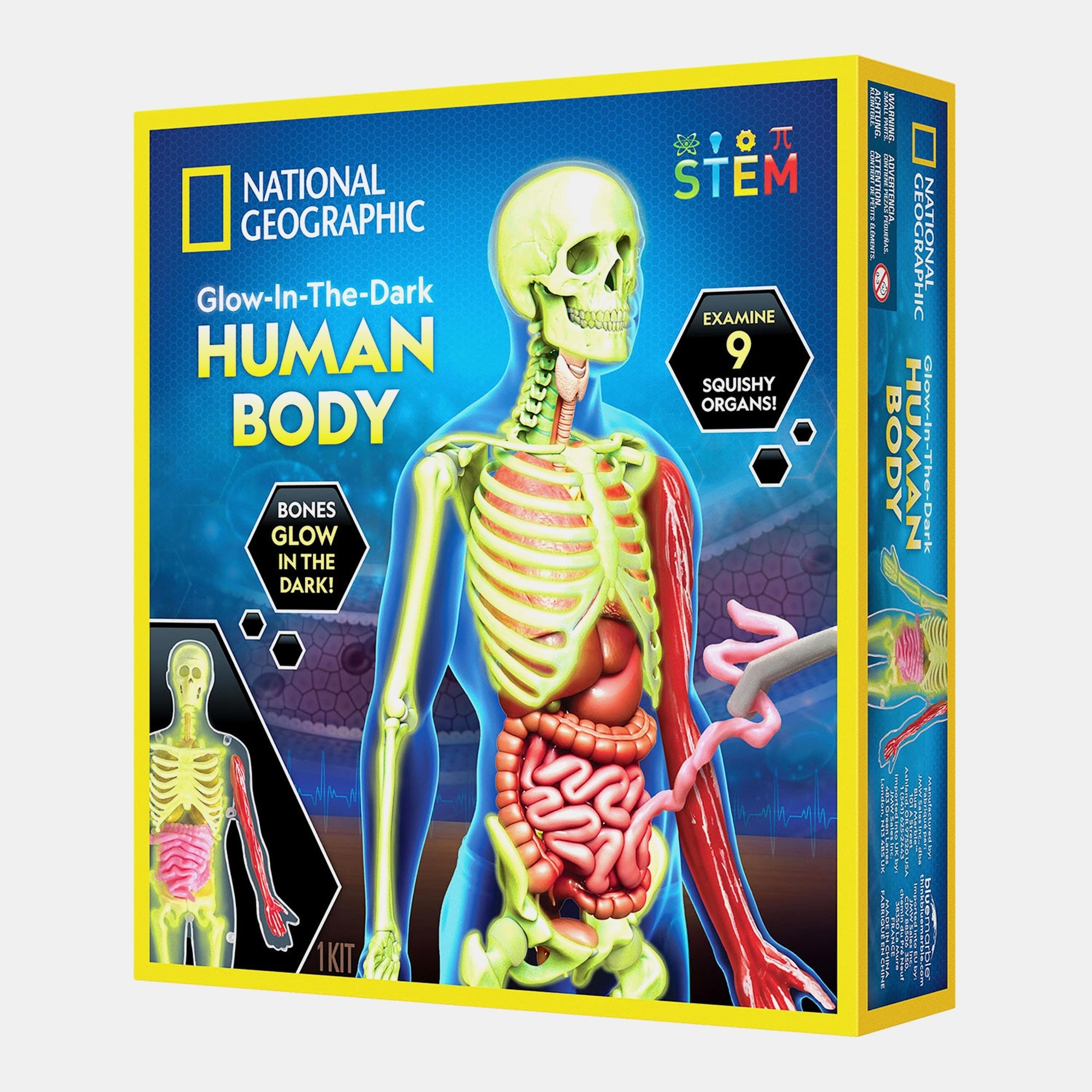 National Geographic Glow-In-The-Dark Human Body Craft Kit Anatomy - 6 years+ 32 pieces