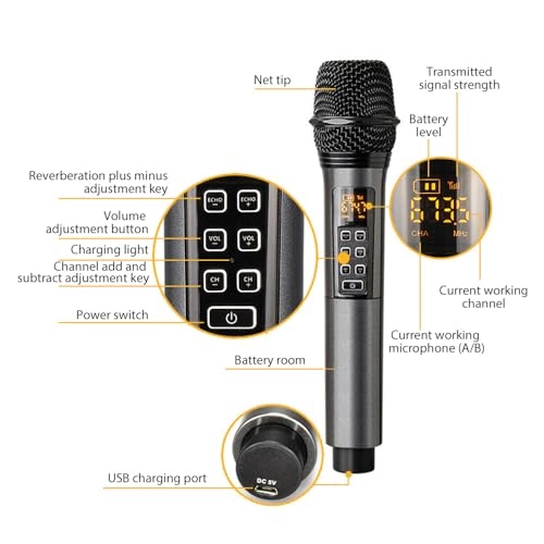 Weless Microphone System - 2 Microphones 2.4G