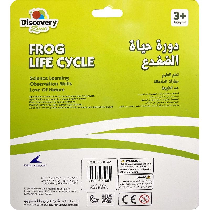 Life Cycle of Frog Amphibians - 4 years+ 5 pieces