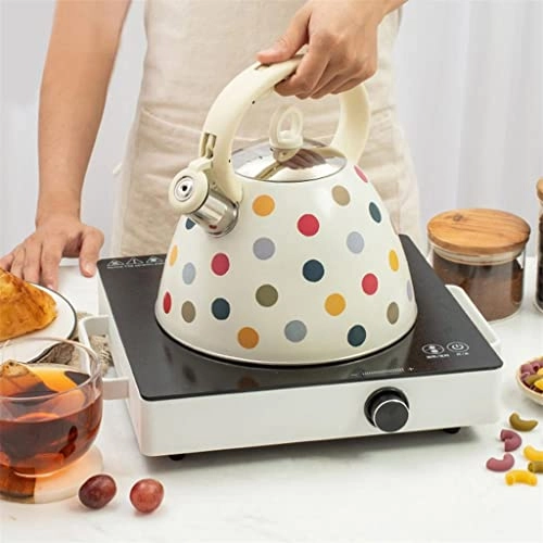 Stovetop Induction Whistling Kettle - 5L