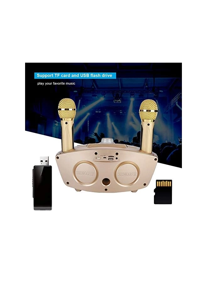 Karaoke Machine - 2 Wireless Microphone 10W