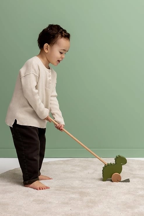 Wooden Push Along Toy - Mr. Dino