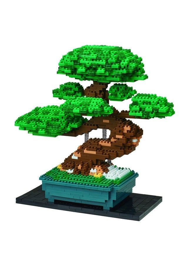 Bonsai Matsu (Nb039)