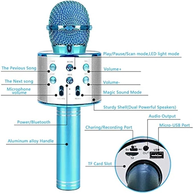 WIRELESS BLUETOOTH MICROPHONE