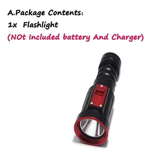 Professional Submersible Light