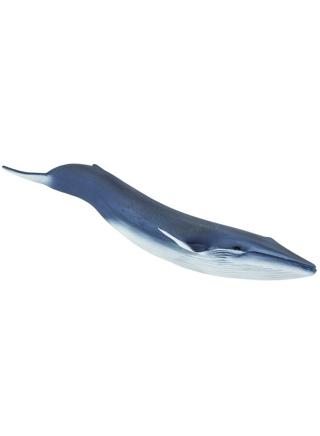 Safari Ltd Blue Whale Figurine