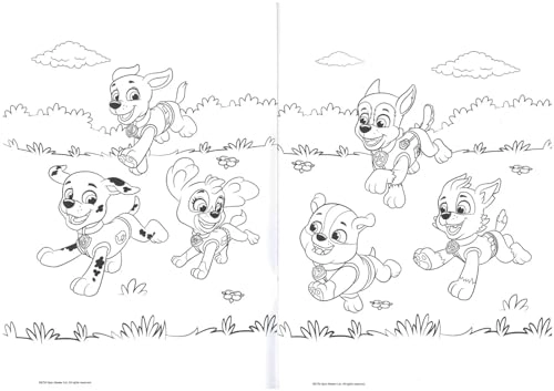 Paw Patrol Colouring Book