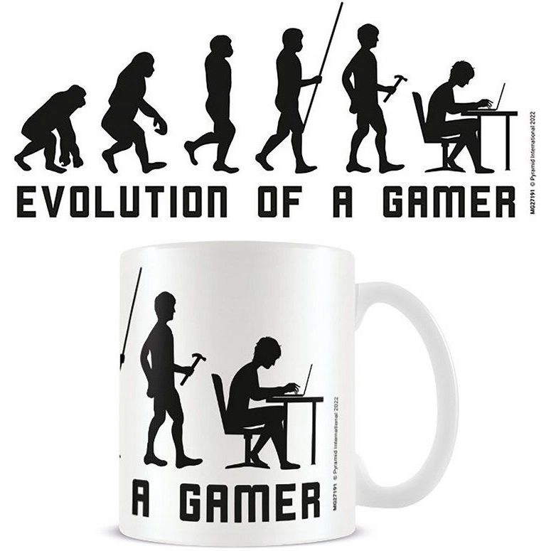 PYRAMID POSTERS Evolution of A Gamer