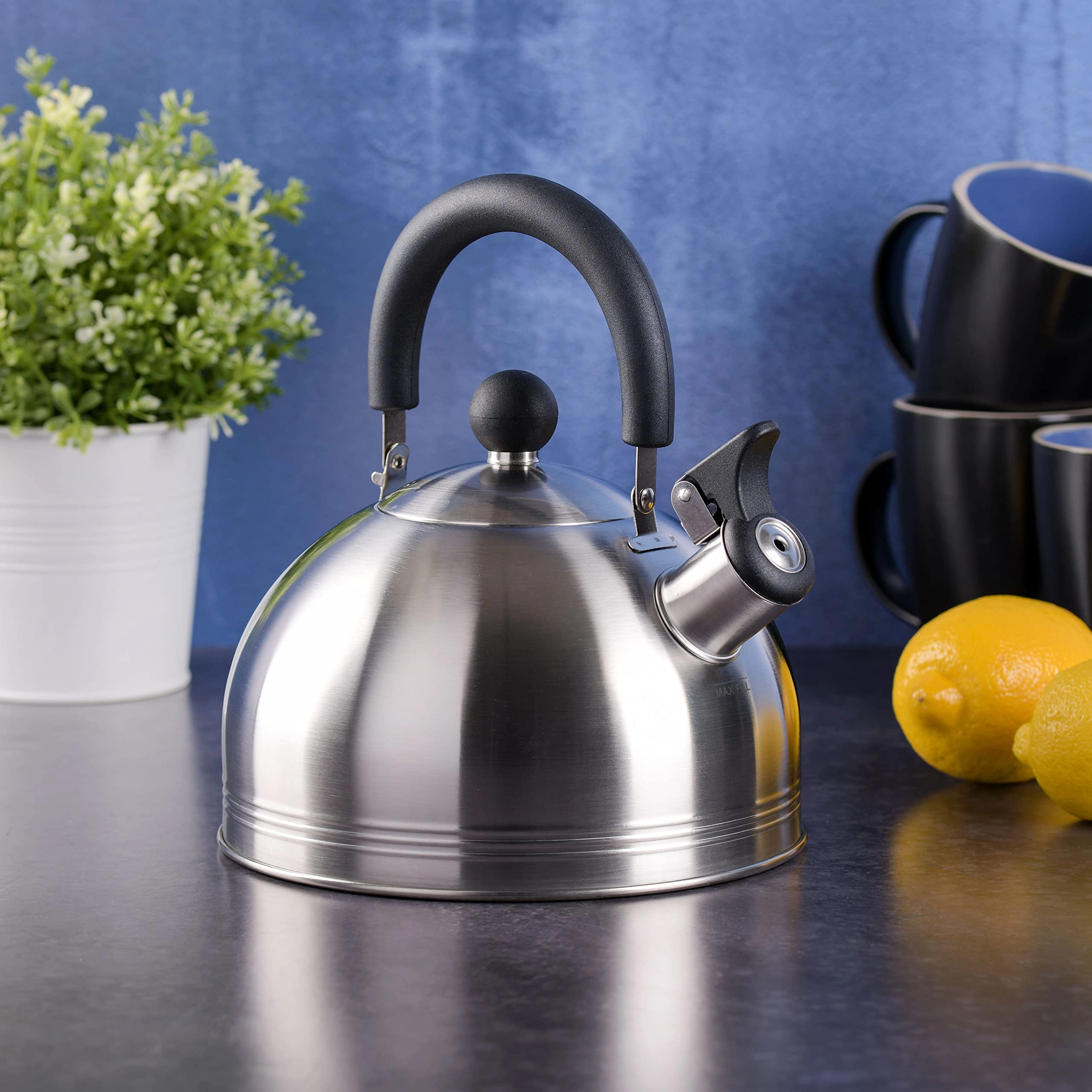 Carterton Tea Kettle - 1.5 Quarts Pack