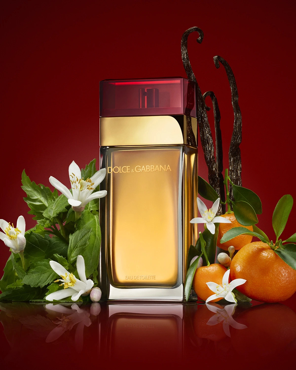 Pour Femme Eau de Toilette 100 ml