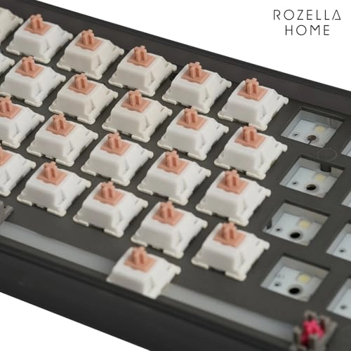 Holy Panda - 110PCS