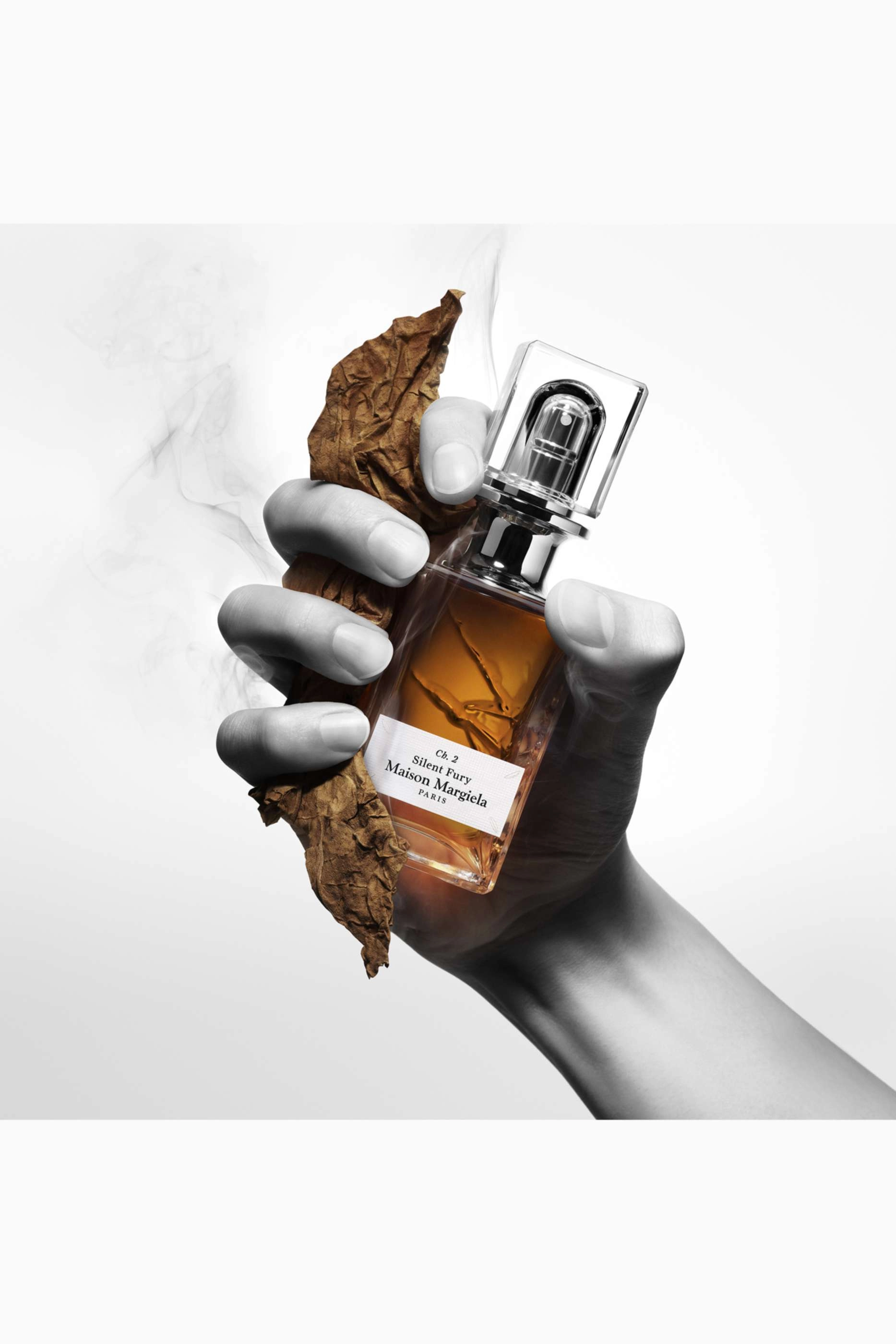 Silent Fury Eau de Parfum - 75ml