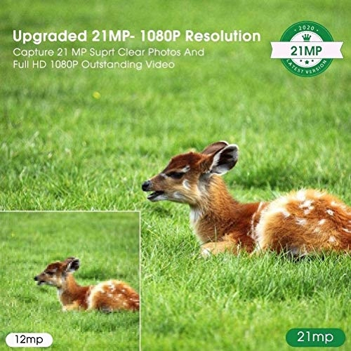 Mini Trail Camera - 21MP