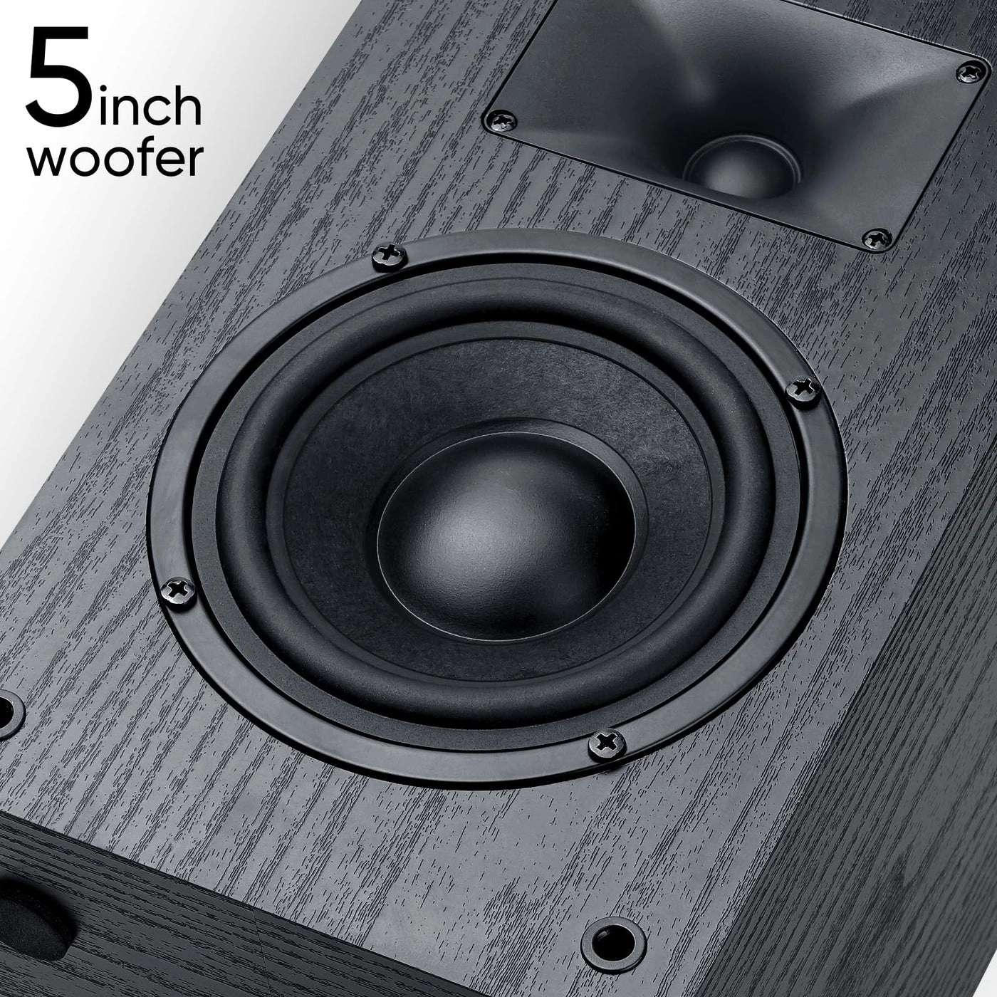 Passive Bookshelf Speakers - 40W