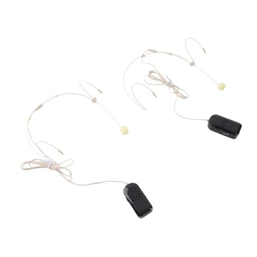 n1ukbordfh - 2 microphones 2.4G