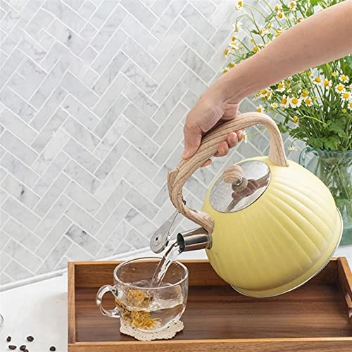 Kettle - food-grade stainless steel