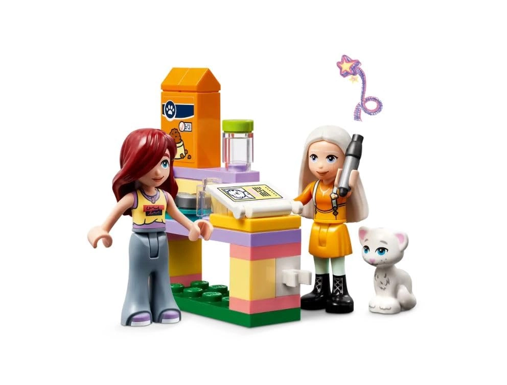 Friends Pet Adoption Day (42615)