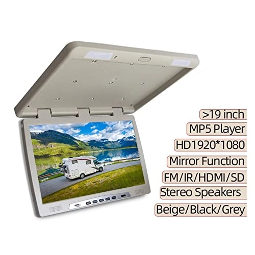 Car Ceiling Display - 19 Inch