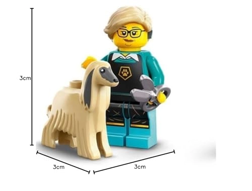 Minifigures Series 25 (71045) - Blind Box Multicolor